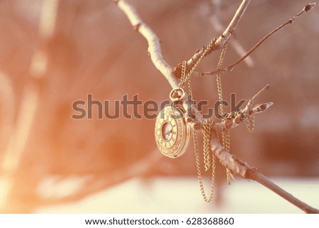 Vintage watch with chain on the branches of trees in the spring.