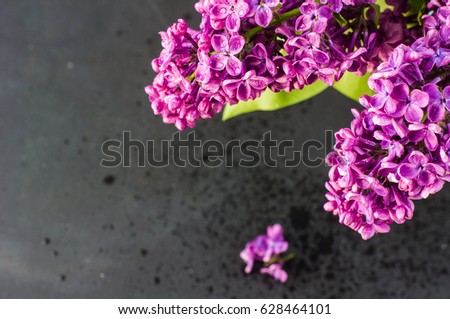 Spring interior concept with bright lilac flowers in a vintage vase on rustic wooden table