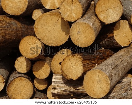 Firewood
In the photo are visible stacked firewood. Firewood is stored outside in the open air. 
