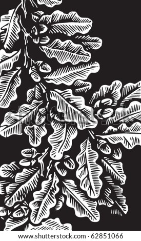 background with oak acorn and leaves. Black and white style