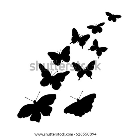 butterflies-vector