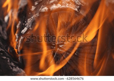 Closeup of firewood burning in fire