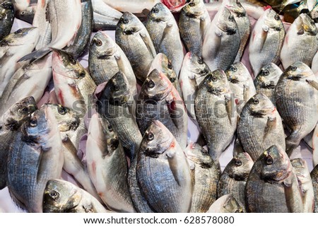 Raw cupra fishes for sale at market 

