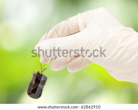 Hand holding test tube with plant - genetic engineering or biotech research concept Royalty-Free Stock Photo #62862910