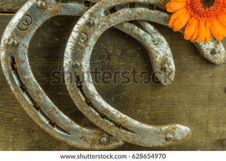 Old horseshoe with flowers on a rustic wooden background