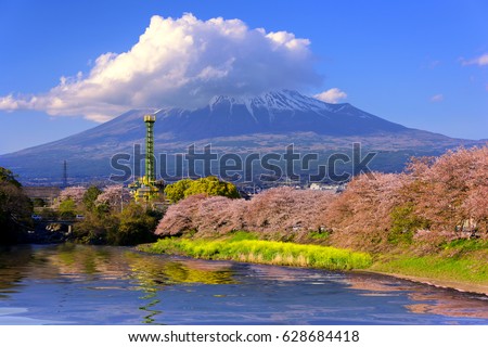 Beautiful Mountain Fuji and sakura cherry blossom in Japan spring season .
