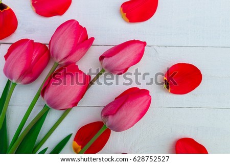 Red tulips on white wooden background. Top view. Copy space. Greeting card