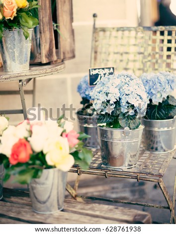 Roses and Hortensias or Hydrangeas in tin buckets