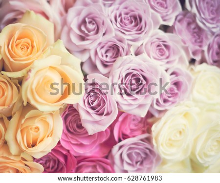 Vintage bouquets of roses in a shop in Paris, France