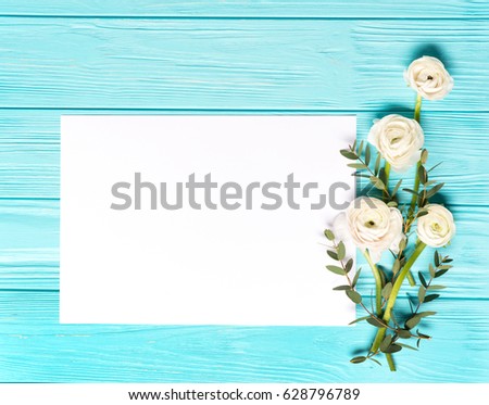Light Mint Background With White Ranunculus Flowers