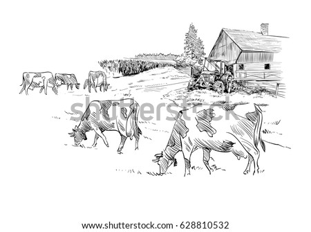 Farm sketch vector illustration.Hand drawn rural landscape. Royalty-Free Stock Photo #628810532