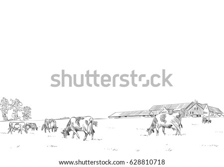 Cows are grazing in a meadow. Rural landscape. Farm sketch hand drawn vector illustration.  Royalty-Free Stock Photo #628810718