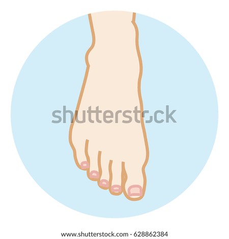 Clean Female Foot Illustration -Body Part