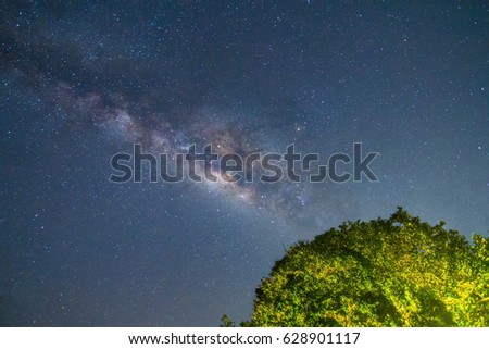 Milky Way and light tree , Milky Way Background, Milky Way night sky with stars.
