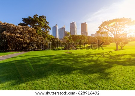 Evening, Sydney city park and CBD landscape