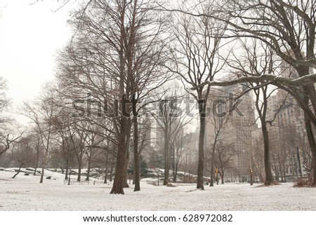 Central Park on a snowy day