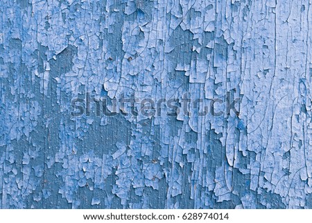 Texture of an old aged blue paint on  wooden textured surface. Closeup picture of an old wooden boat painted in blue