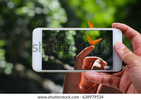 Taking butterfly on finger in nature with smartphone.