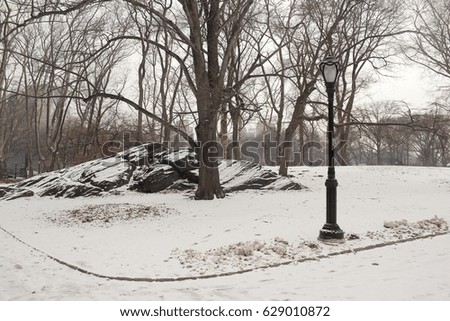 Central Park on a snowy day