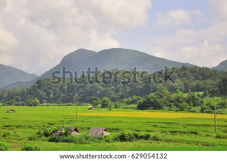 The hut in the rice paddies has a backdrop of sky and mountains.