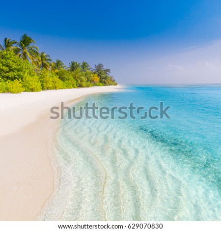 Landscape of paradise tropical island beach. Beautiful palm trees and tropical beach. 