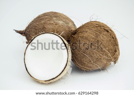old coconut isolated