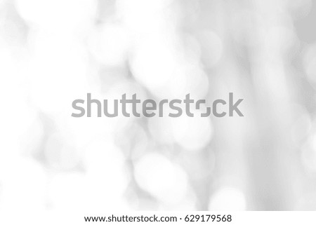 Gray bokeh background from nature