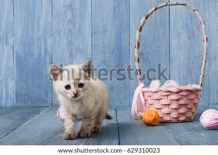 White funny kitten with pink wool ball and straw basket. Playful small cat at blue wood background.