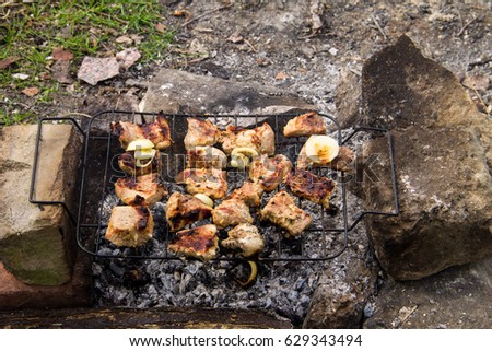 Pork meat roasting on the grill. Meat on the coals, barbeque close up