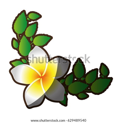 decorative frame silhouette shading of single malva flower with leaves vector illustration