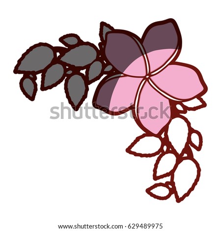red contour of malva flower with leaves vector illustration