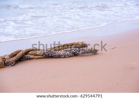rope old on beach in morning at thailand
