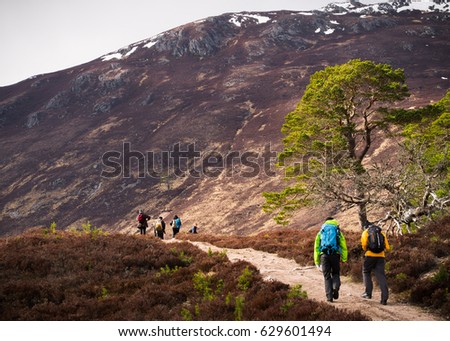Hikers in the mountains on the road