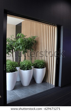Office interior, indoor plants in large white pots