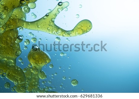 oil in blue  water