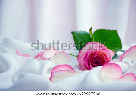 Pink roses on soft silk.