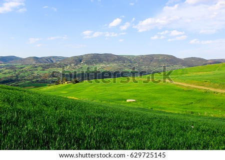 Green landscape with blue sky