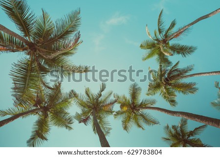 Retro toned palm trees with sky as copy space