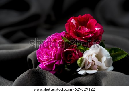 Rose with the art of concept of cloth background./ rose.