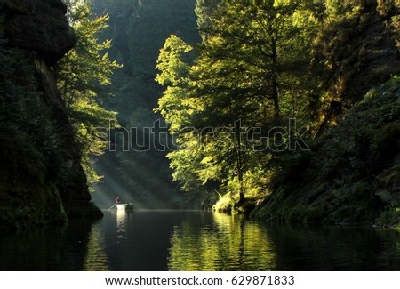 Edmund Gorge, rocky canyon in north of Czech Republic. It is close to town Hrensko. The picture was taken from the boat, the sun created beautiful beams going through the trees branches.