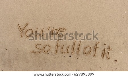 Handwriting  words "You're so full of it." on sand of beach.