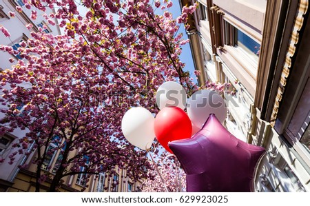 White and red Balloons in front of tree with pink Cherry Blossoms in Bonn, Germany
