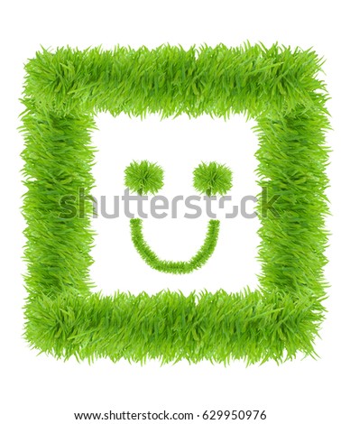Smiling face made from green grass isolated on white background