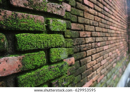 Red bricks texture background