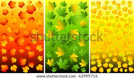Set of backgrounds with autumnal leaves. Vector.