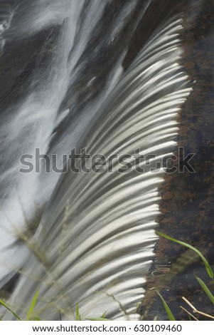 stream water