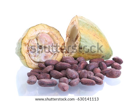 Cacao pods, butter and beans and cacao powder with leaves isolated on white background