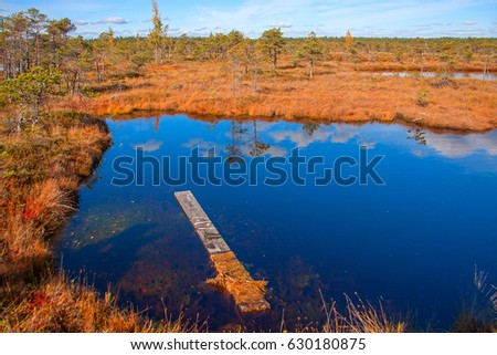 Kemeri National Park peat bog, autumn colors