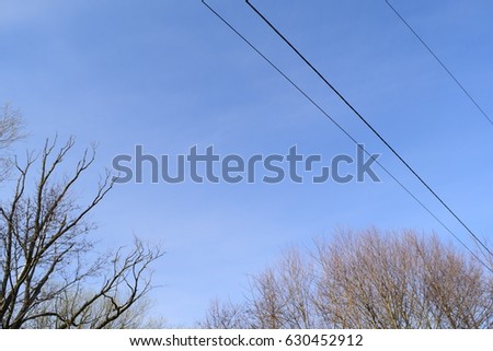 Tree branches and cable on blue sky background
