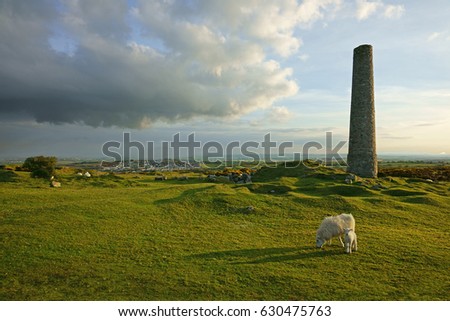 An abandoned chimney stack from the Craddock Moor mine at twilight with sheep grazing on Bodmin Moor, Cornwall, England, UK